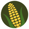 Longview Capital Corporation