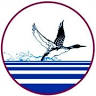 Loon Preservation Committee
