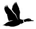 Loon Reservation Service