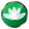 Lotus Real Estate Advisors
