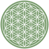 Lotus Art Yoga