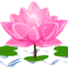 Lotus India Holidays