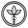 Lotus Boutique & Studio