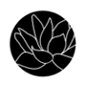Lotus Skin + Brow