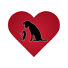 Love Animal Hospital