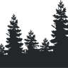 Lovett Pinetum