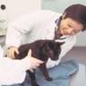 Loving at Home Pet Euthanasia