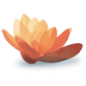 Lower Shore Clinic, Inc.