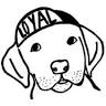 Loyal Cycle Co.
