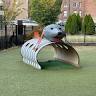 Lucas Dog Park (membership only)