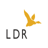 Lucky Duck Racing
