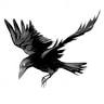Lucky Raven Tobacco