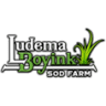 Ludema & Boyink Sod Farm LLC