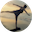 Lunaberg