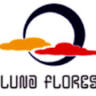 Luna Flores, Florist, Vila Clementino SP