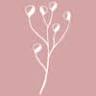 Lunaria Annua Joyería