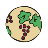 L’univers des Vins et des Saveurs