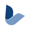 Lutepel Industry and Trade Paper