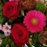 Luther - Fiori & Giardini