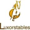 Luxorstables - Nobi Arabian Horse Stables