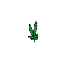 Luxury Leaf