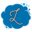Luxury Window Cleaning of the Palm Beaches
