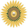 Light Sunflower Holistic Spa