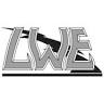 Lynn Woodward Electric LLC