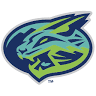 Lynchburg Hillcats