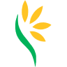 Lynch Group
