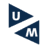 International Centre for Integrated Assessment & Sustainable Development (ICIS)