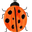Mabô Rio