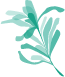 Macedon Chiropractic