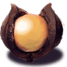 Tropical Farms Macadamia Nuts