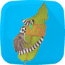 Madagascar Green Tours