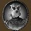 Madame Meerkat's Cabinet of Curiosities