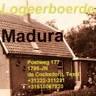 Madura Texel