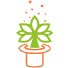 Magia Plantelor