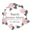 Magnolia Insurance Advisors