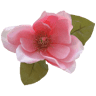 Magnolia Networks