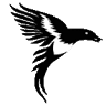Magpie (Manchester House) Ltd