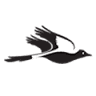 Magpies Sporting Club Mackay