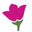 Mainaam Garden Nursery