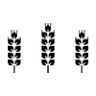 The Main Grain Bakery LLC