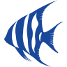 Majestic Aquatics