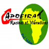 Capoeira Racines Et Vibrations