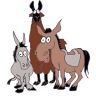 Malga Zanga