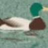 Mallard Grange Bed & Breakfast