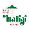 Hotel Malligi Hampi