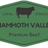 Mammoth Valley